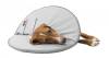 Collerette de protection en mousse pour chien et chat