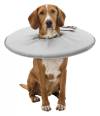Collerette de protection en mousse pour chien et chat