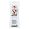 Shampoing pour chien à l'huile de théier