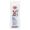 Shampoing à l'huile de Neem pour chien