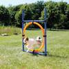 Anneau Agility pour chien Trixie