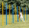 Slalom Agility pour chien Trixie