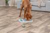 Chess Jeu d'intelligence et de stratégie niveau 2 pour chien