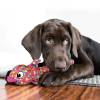 KONG Jouet Wubba Finz pour Chien