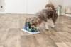 Jouet interactif Poker Box Vario 2 niveau 2 pour chien
