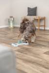 Jeu d'intelligence Flip Bone chien