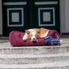 Panier lit pour chien Talis Baie