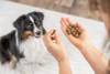 Friandise Salmon Balls pour chien