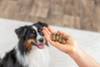 Friandise Salmon Balls pour chien