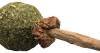 Sucette au catnip/matatabi pour chat