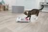 Jouet interactif Brain Mover pour chat