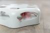 Jouet plume tournante pour chaton