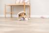Jouet haltère en corde pour chien