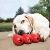 KONG Jouet Goodie Ribbon pour Chien