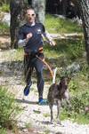 Ceinture baudrier canicross One orange pour chien