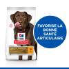 Hill's Science Plan croquettes Adult Healthy Mobility Large pour Chien