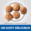 Hill's Science Plan croquettes Adult Healthy Mobility Large pour Chien
