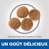 Hill's Science Plan croquettes Adult Perfect Weight Medium pour Chien
