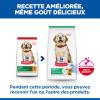 Hill's Science Plan croquettes Canine Puppy Large Breed Poulet pour Chien