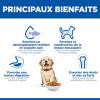 Hill's Science Plan croquettes Canine Puppy Large Breed Poulet pour Chien