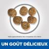 Hill's Science Plan croquettes Feline Adult Perfect Weight Poulet pour Chat