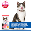 Hill's Science Plan croquettes Feline Mature Adult 7+ Light pour Chat
