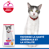 Hill's Science Plan Croquettes Feline Senior pour Chat