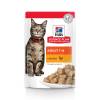 HILL'S Science Plan Adult pour chat adulte au poulet et à la dinde