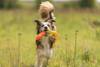 Corde de jeu avec anneau plastique pour chien