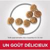 Hill's Science Plan Croquettes Adult Light Small & Mini Poulet pour Chien