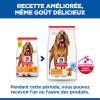Hill's Science Plan croquettes Mature Adult 7+ Light Medium Poulet pour Chien