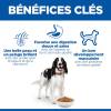 Hill's Science Plan croquettes Adult Medium Agneau & Riz pour Chien