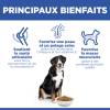 Hill's Science Plan croquettes Adult Large Breed Poulet pour Chien