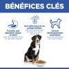 Hill's Science Plan croquettes Adult Large Breed Agneau & Riz pour Chien