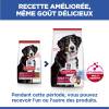 Hill's Science Plan croquettes Adult Large Breed Agneau & Riz pour Chien
