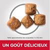 Hill's Science Plan croquettes Chien Mature Adult 6+ Large Breed Poulet