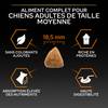 PRO PLAN Large Athletic Adult poulet Optibalance 14 kg pour Chien