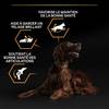 PRO PLAN Large Athletic Adult poulet Optibalance 14 kg pour Chien