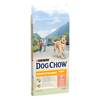 DOG CHOW Croquettes complètes au saumon pour chien adulte