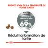 ROYAL CANIN Croquettes Mini Dental Care Sac de 3 kg pour Chien