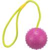 Lanceur de balle en caoutchouc pour chien