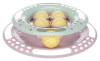 Jouet Junior Kitten Circle pour chaton