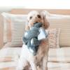KONG Peluche Comfort Kiddos Elephant pour Chien