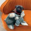 KONG Peluche Comfort Kiddos Elephant pour Chien