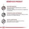 ROYAL CANIN Croquettes chat veterinaire Gastrointestinal