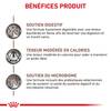 ROYAL CANIN Sachets chat vétérinaire Gastrointestinal Moderate Calorie 12 x 85 g
