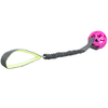 Cordon élastique pour tracter avec balle pour chien