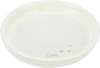 Gamelle plate en céramique pour chat