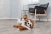 Grosse peluche pour chien Paresseux marron 56 cm