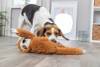 Grosse peluche pour chien Paresseux marron 56 cm